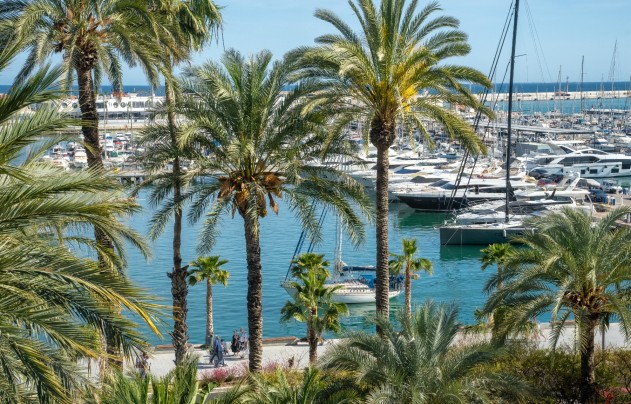 Apartment - Herverkoop - Alicante - Center