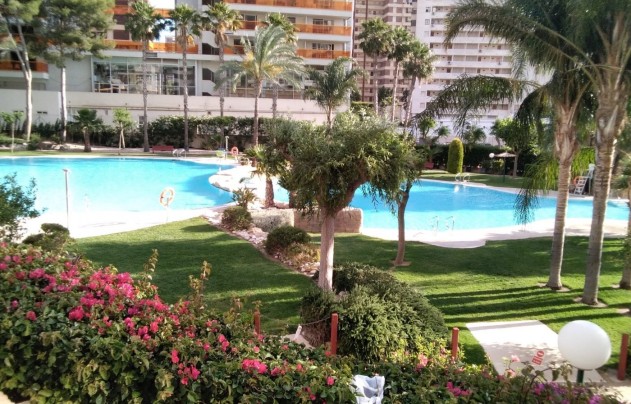 Apartment - Herverkoop - Benidorm - Rincón de Loix