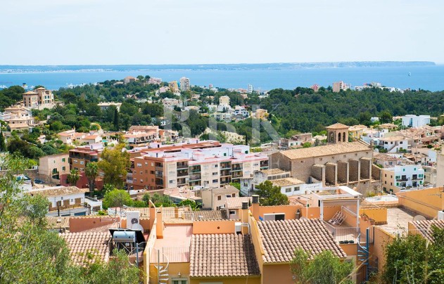 Apartment - Herverkoop - Palma - Gènova