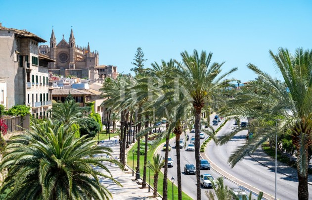 Apartment - Herverkoop - Palma - Santa Catalina
