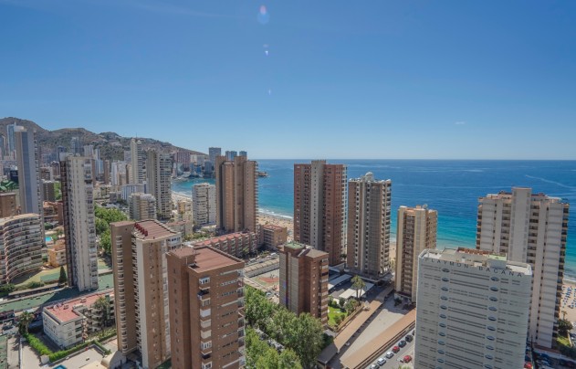 Apartment - Resale - Benidorm - Benidorm
