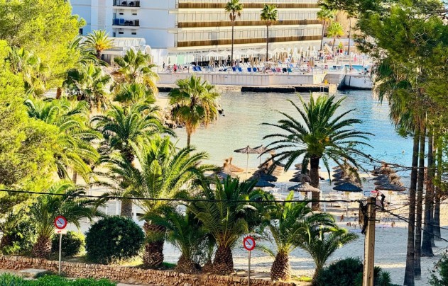 Apartment - Resale - CALA VINYES - Calvià