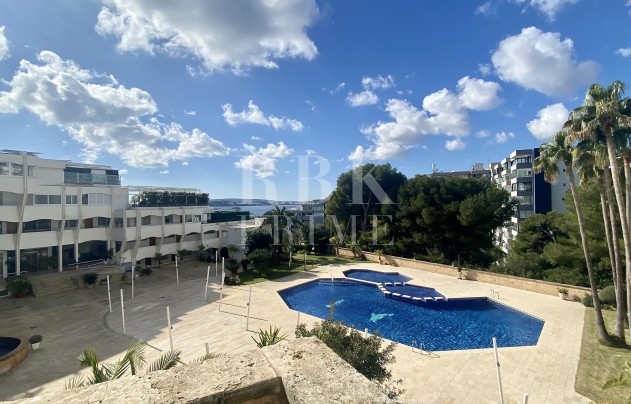 Apartment - Resale - Calvià - Portals Nous
