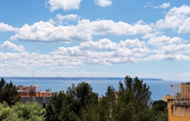 Apartment - Resale - PALMA - Sant Agustí