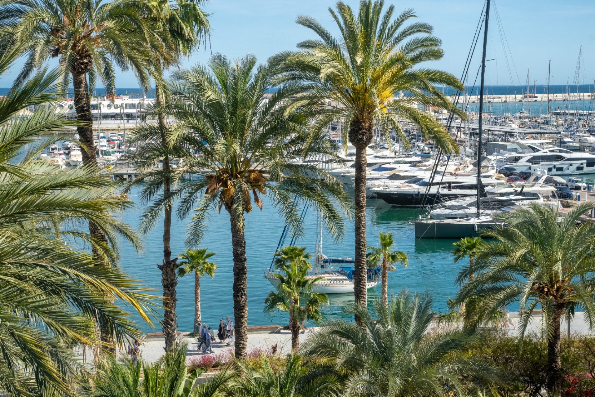 Herverkoop - Apartment - Alicante - - Centro  -