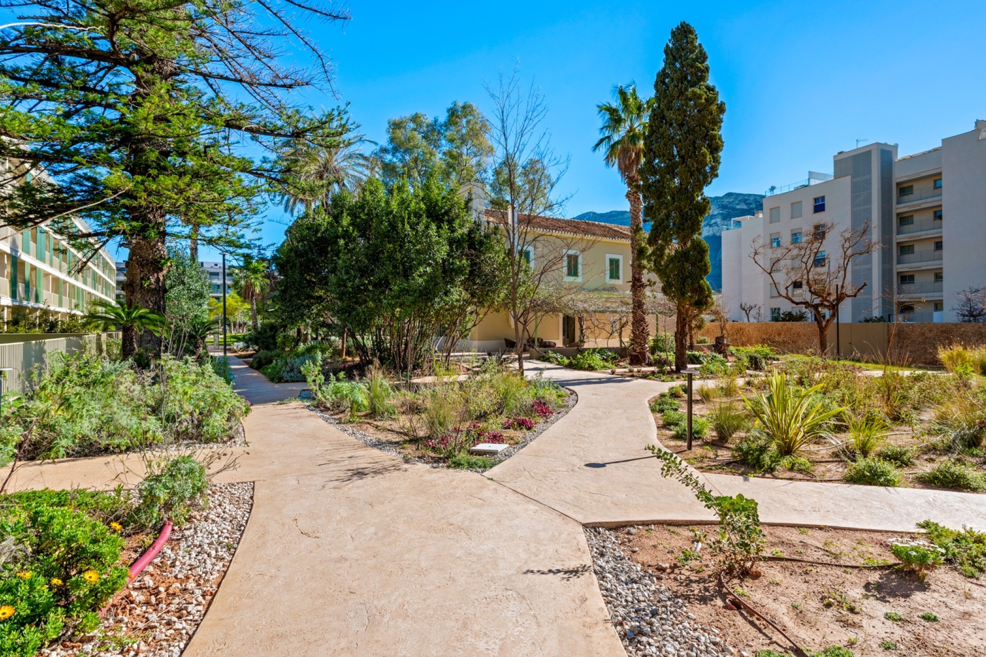 Herverkoop - Apartment - Denia - Puerto