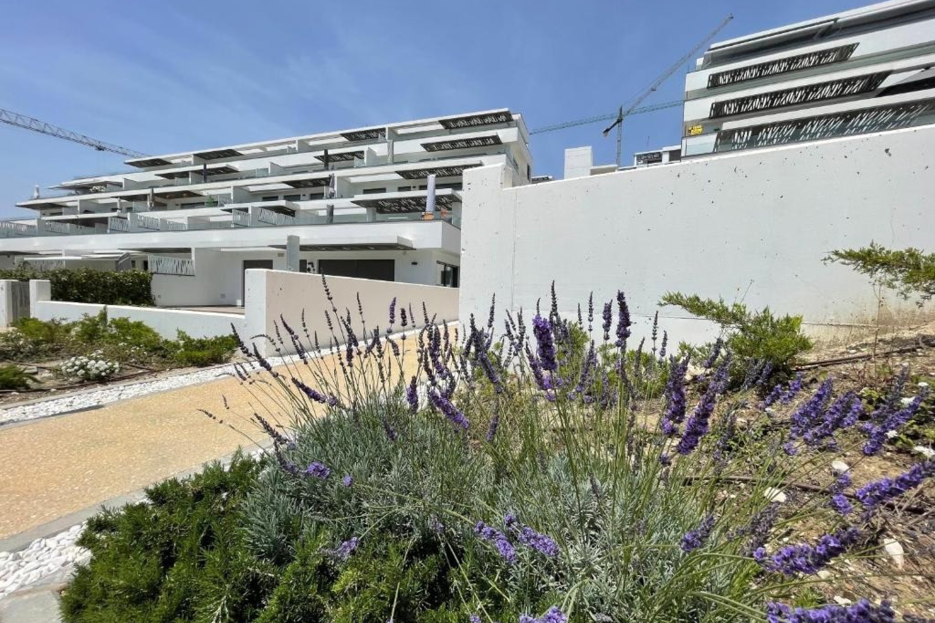 Herverkoop - Apartment - Finestrat - Seascape Resort