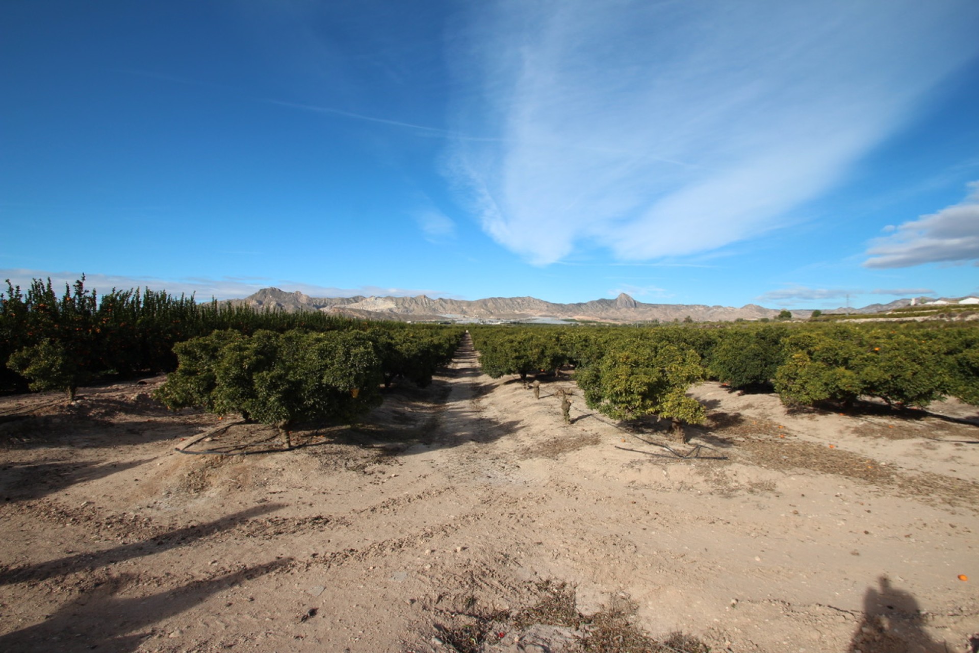 Herverkoop - Finca / Country House - Murcia - Costa Blanca Sur