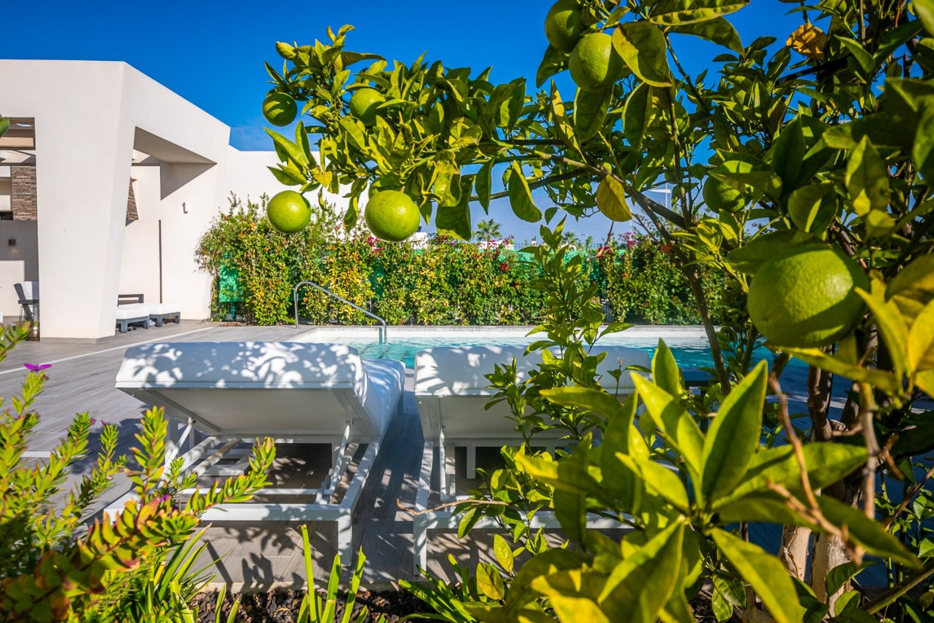 Herverkoop - Villa - Algorfa - LA FINCA GOLF / ALGORFA