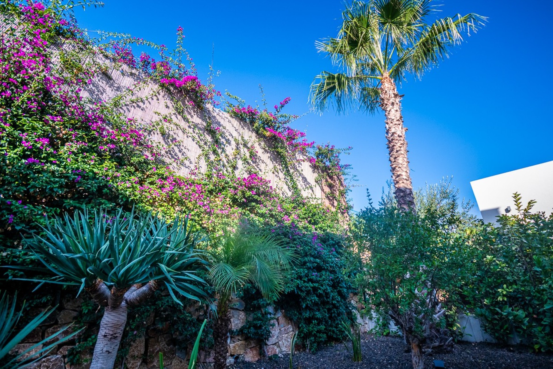 Herverkoop - Villa - Algorfa - LA FINCA GOLF / ALGORFA