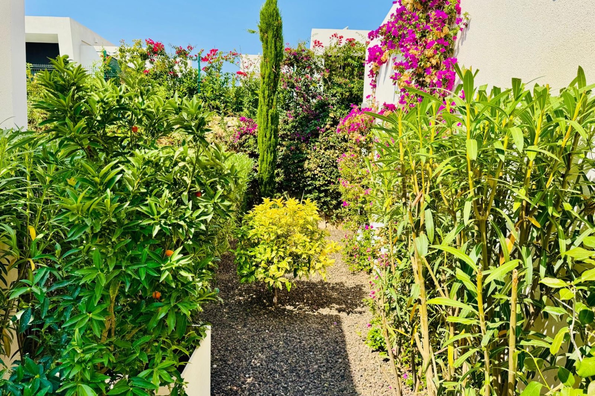 Herverkoop - Villa - Algorfa - La finca Golf