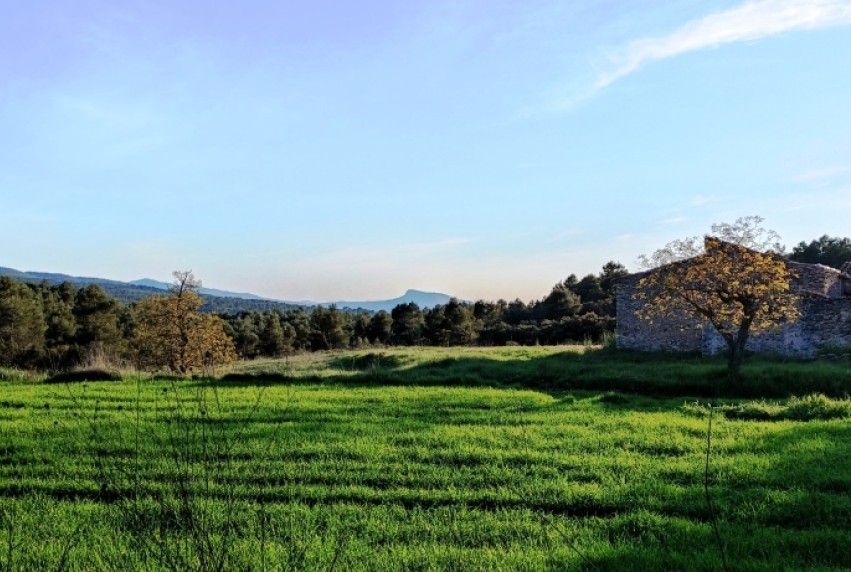 Herverkoop - Villa - Bocairent