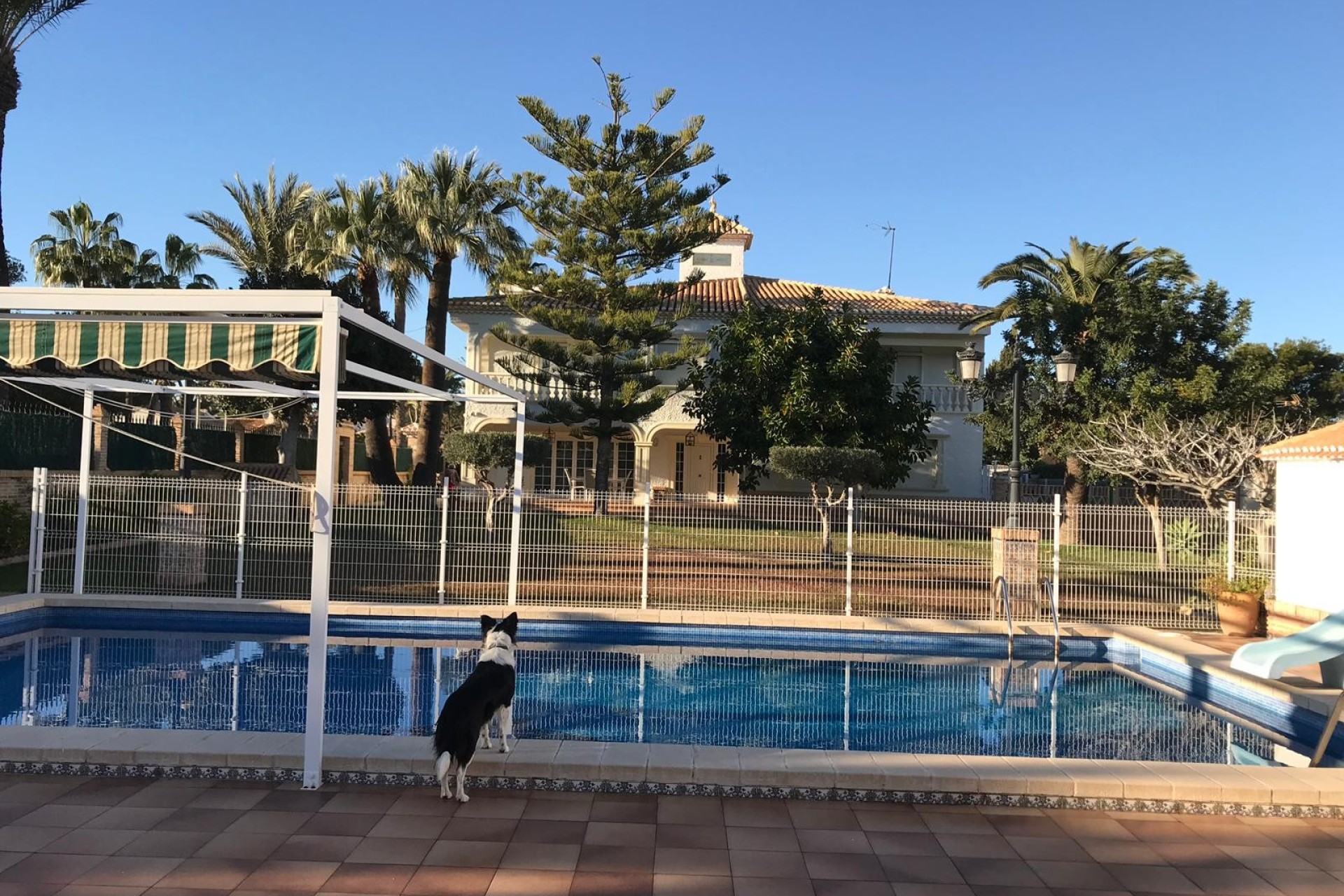Herverkoop - Villa - Cabo Roig