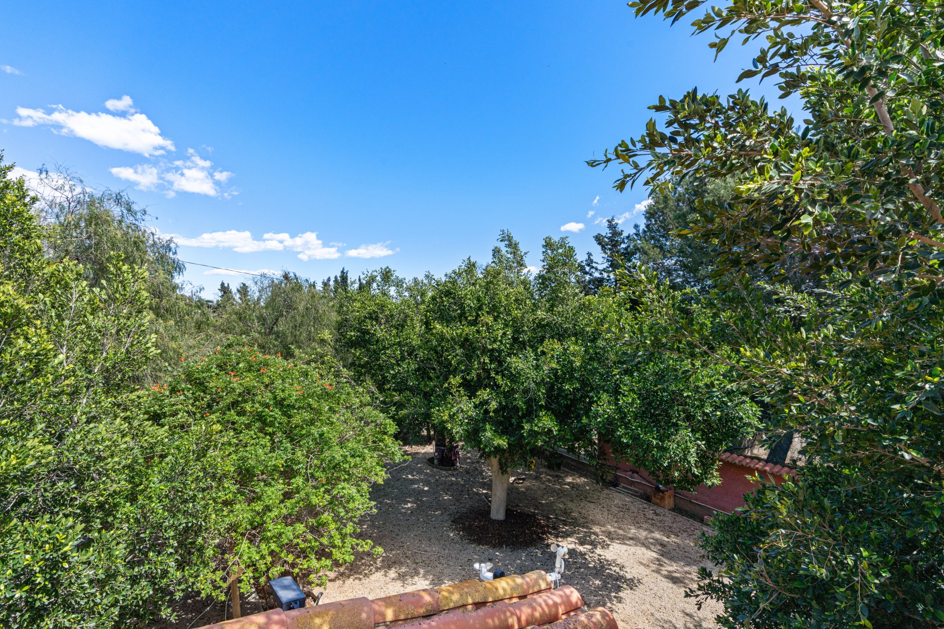 Herverkoop - Villa - El Altet - San Francisco de Asis