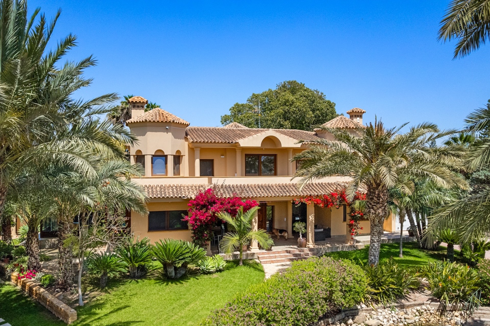 Herverkoop - Villa - Elche