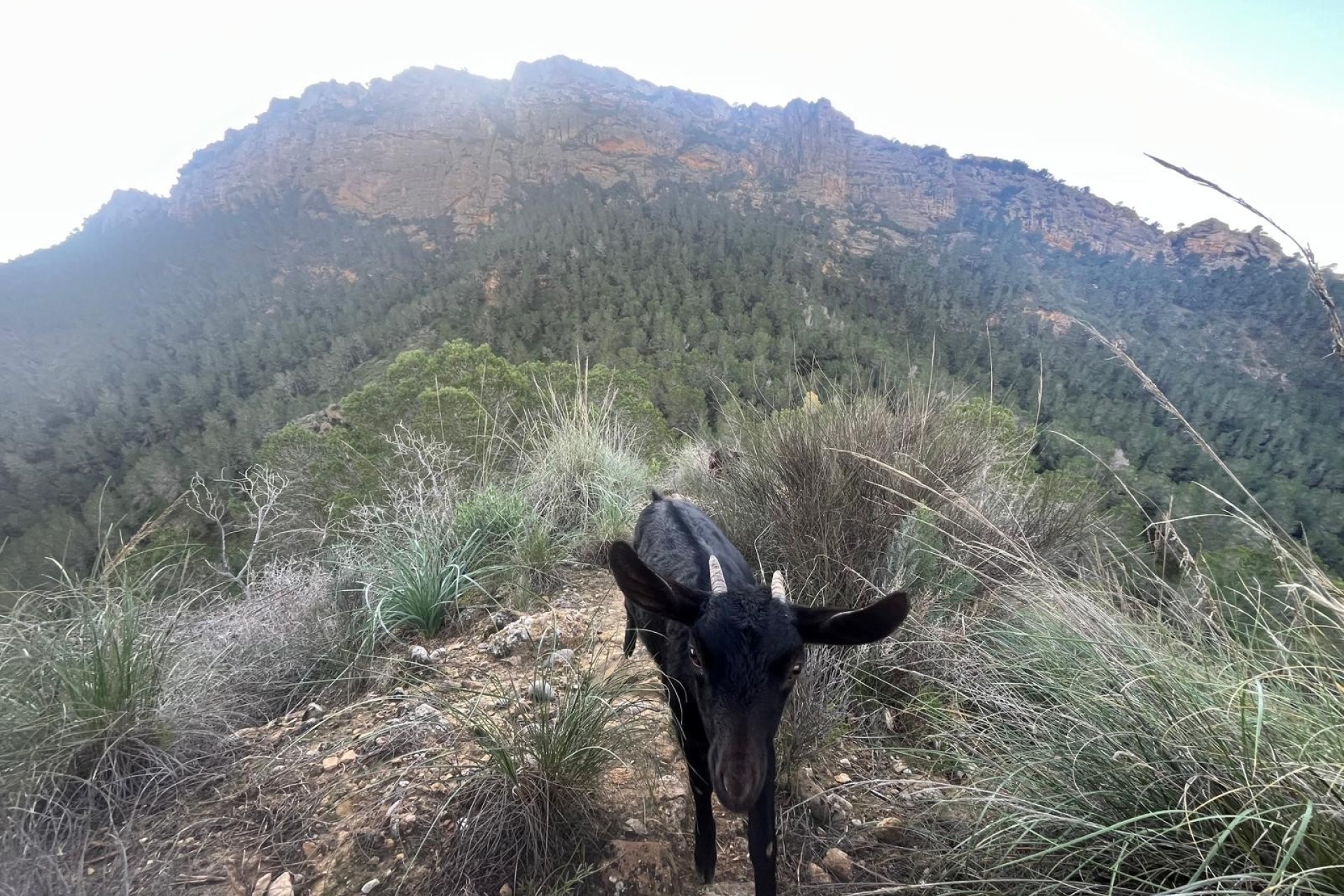 Herverkoop - Villa - Gea Truyols - Gea y Trujols