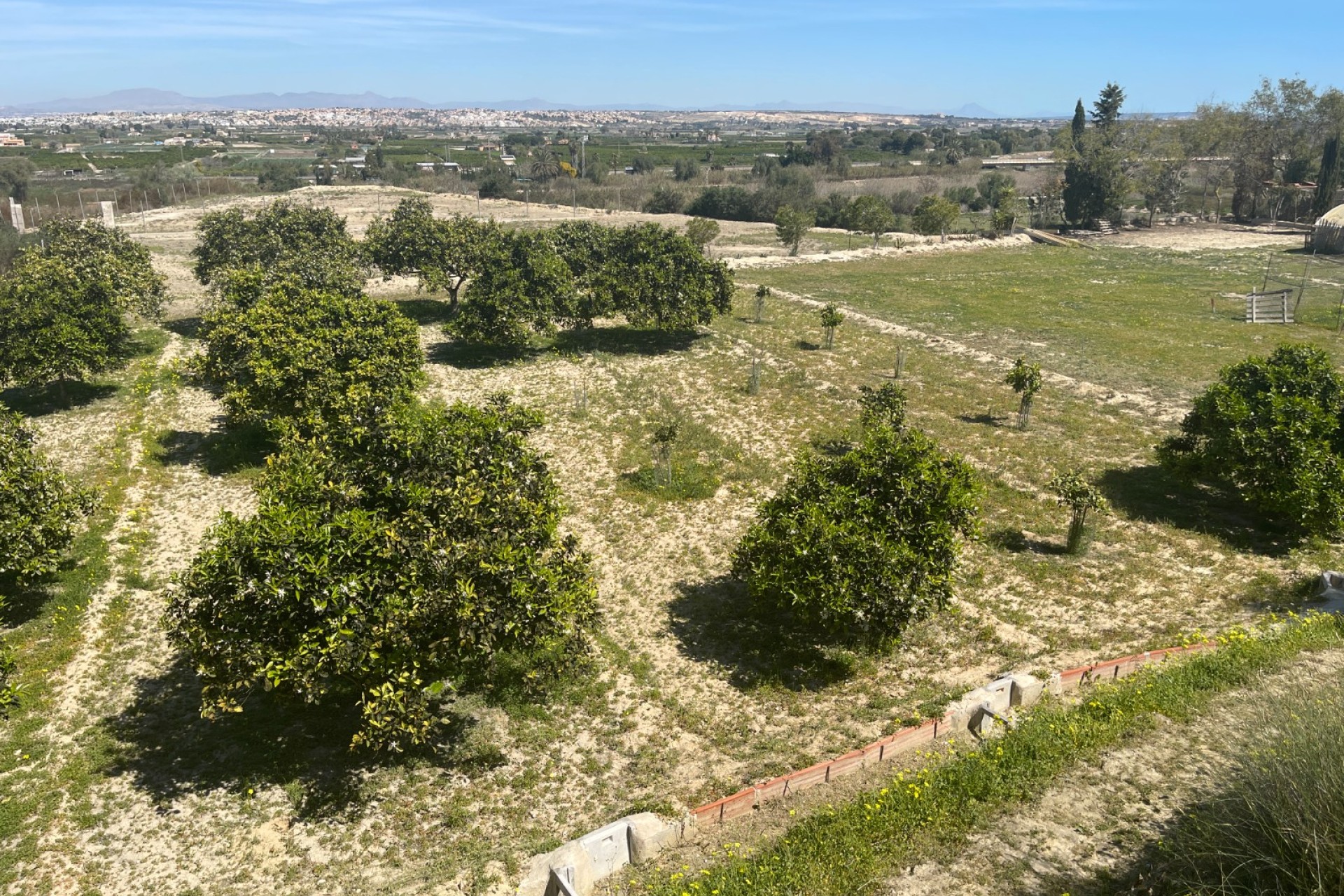 Herverkoop - Villa - Guardamar del Segura - Valencia