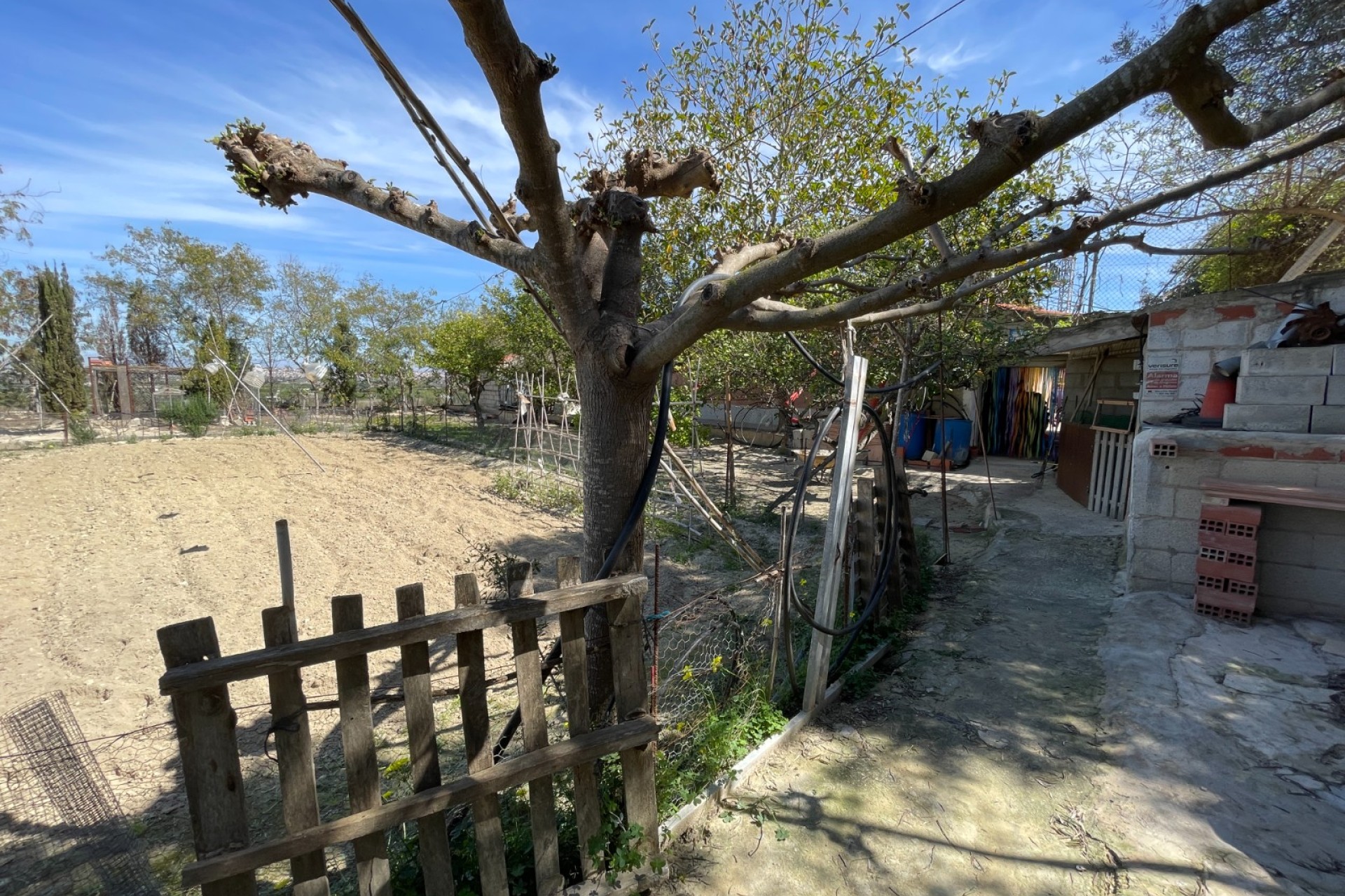 Herverkoop - Villa - Guardamar del Segura - Valencia