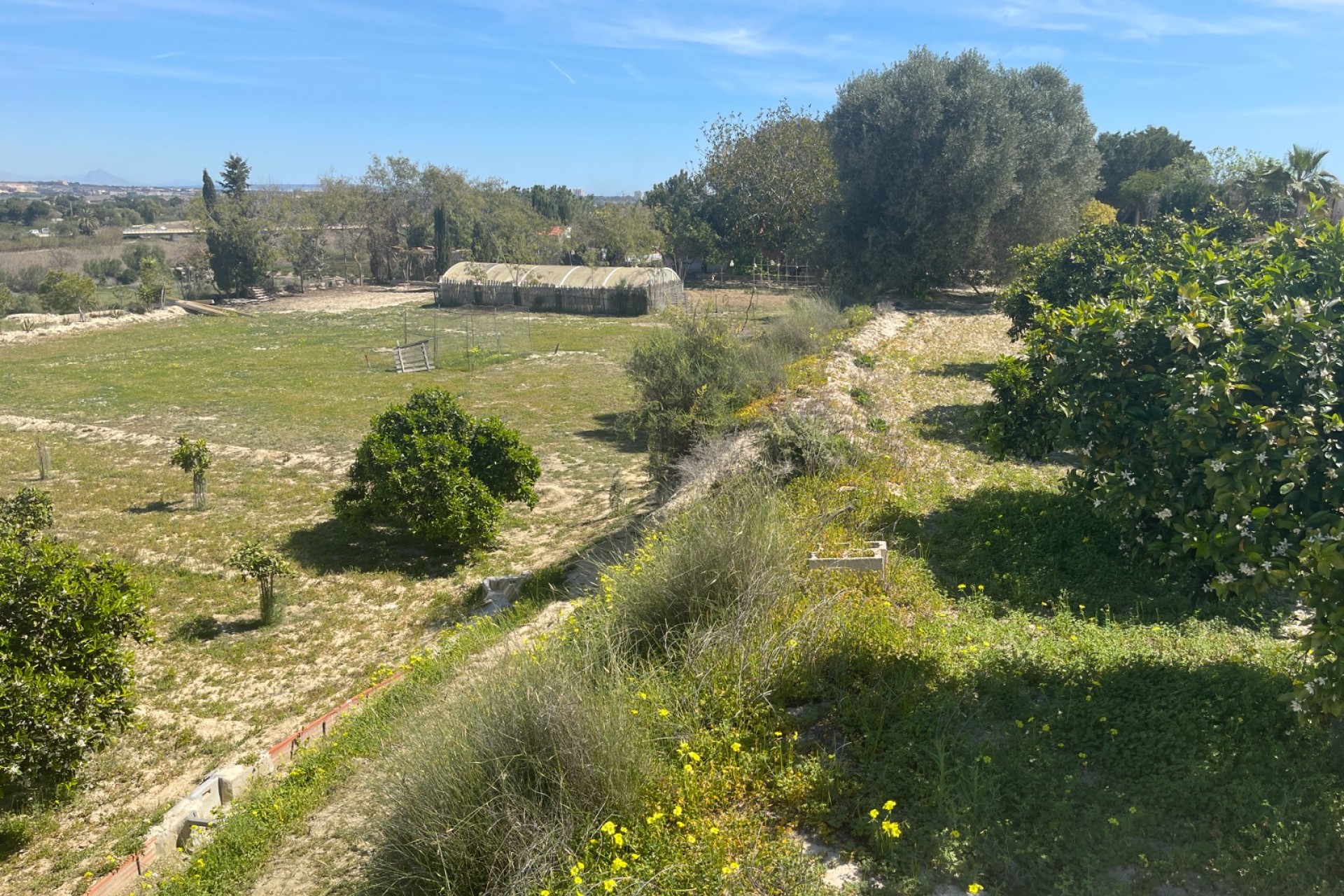 Herverkoop - Villa - Guardamar del Segura - Valencia