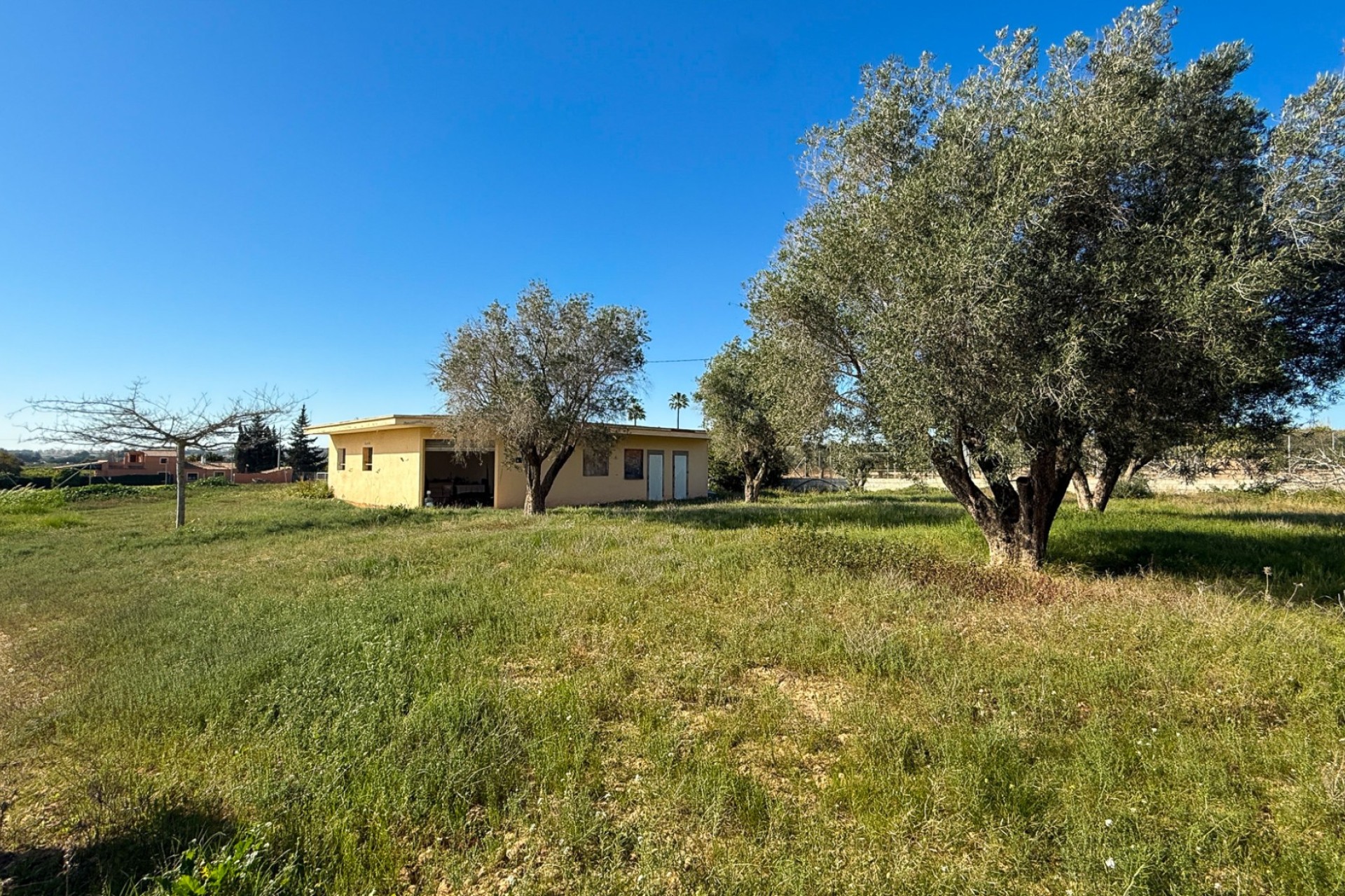 Herverkoop - Villa - Guardamar del Segura