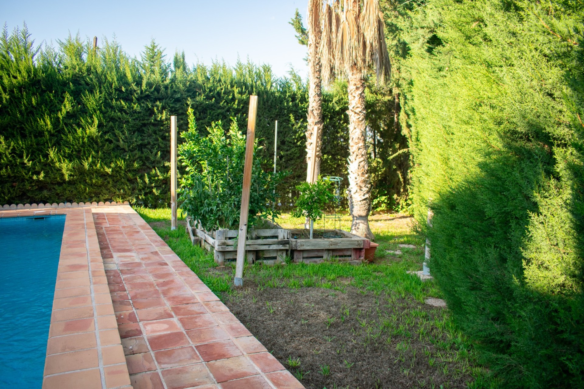 Herverkoop - Villa - Molina de Segura - Torre de Cotillas