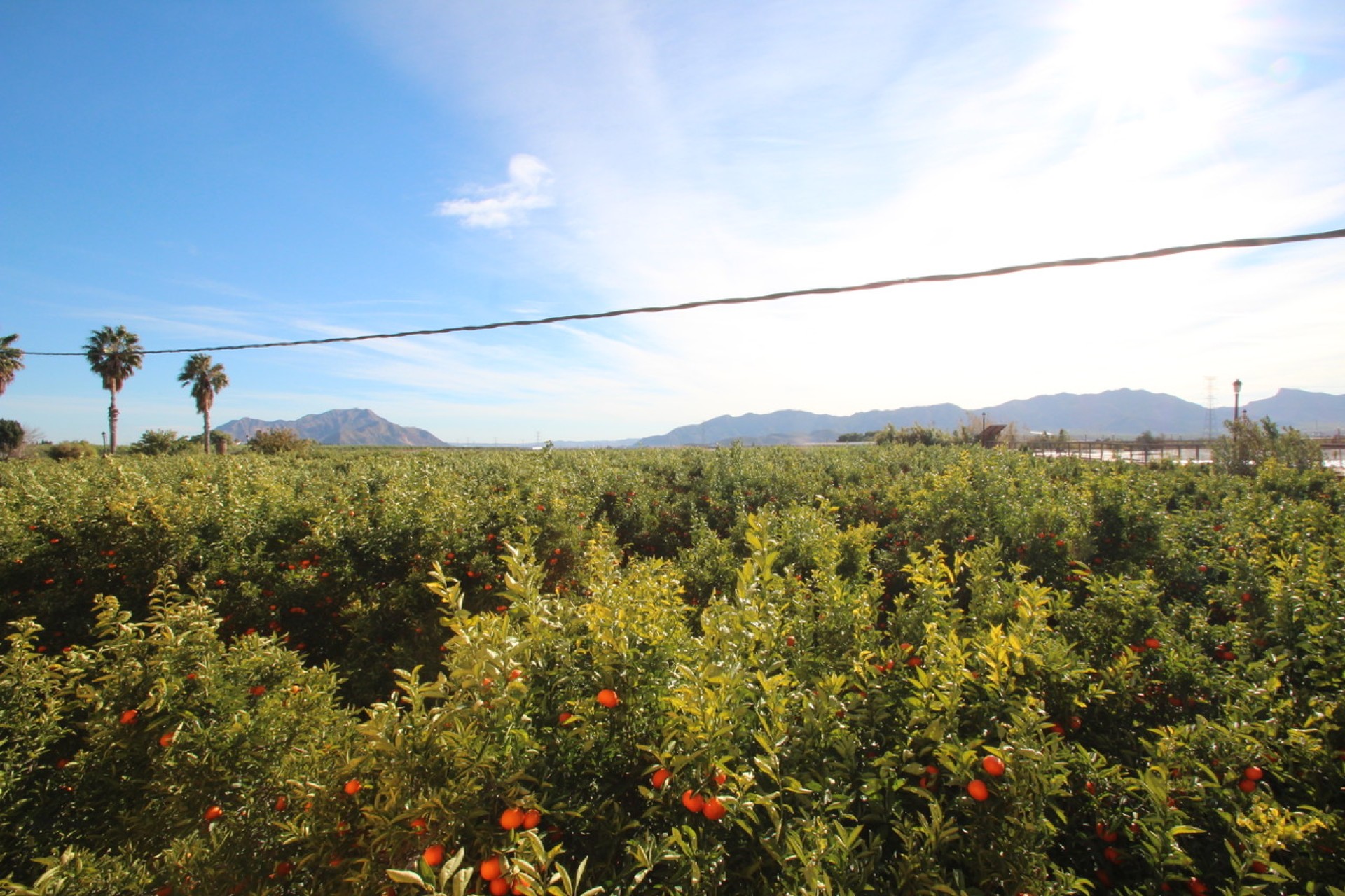Herverkoop - Villa - Murcia - Costa Blanca