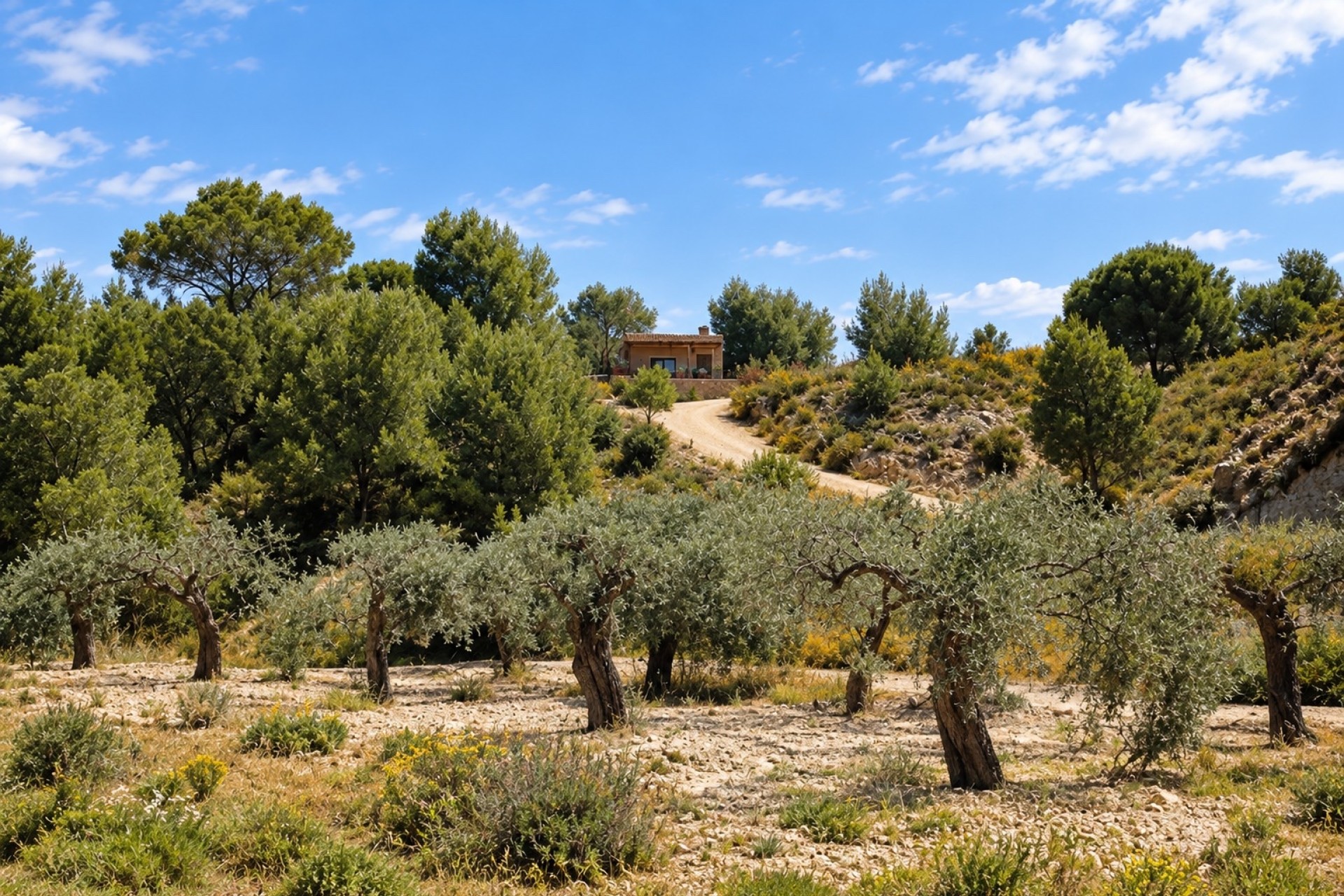 Herverkoop - Villa - Murcia - Costa Blanca