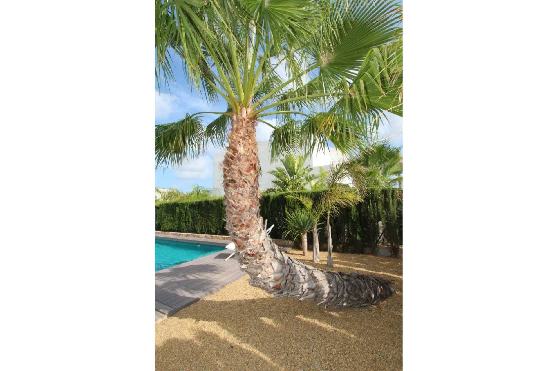 Herverkoop - Villa - Rojales - Ciudad Quesada