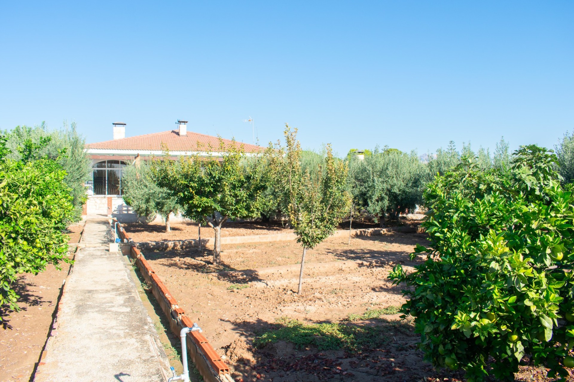 Herverkoop - Villa - San Vicente de Raspeig - San Vicente del Raspeig