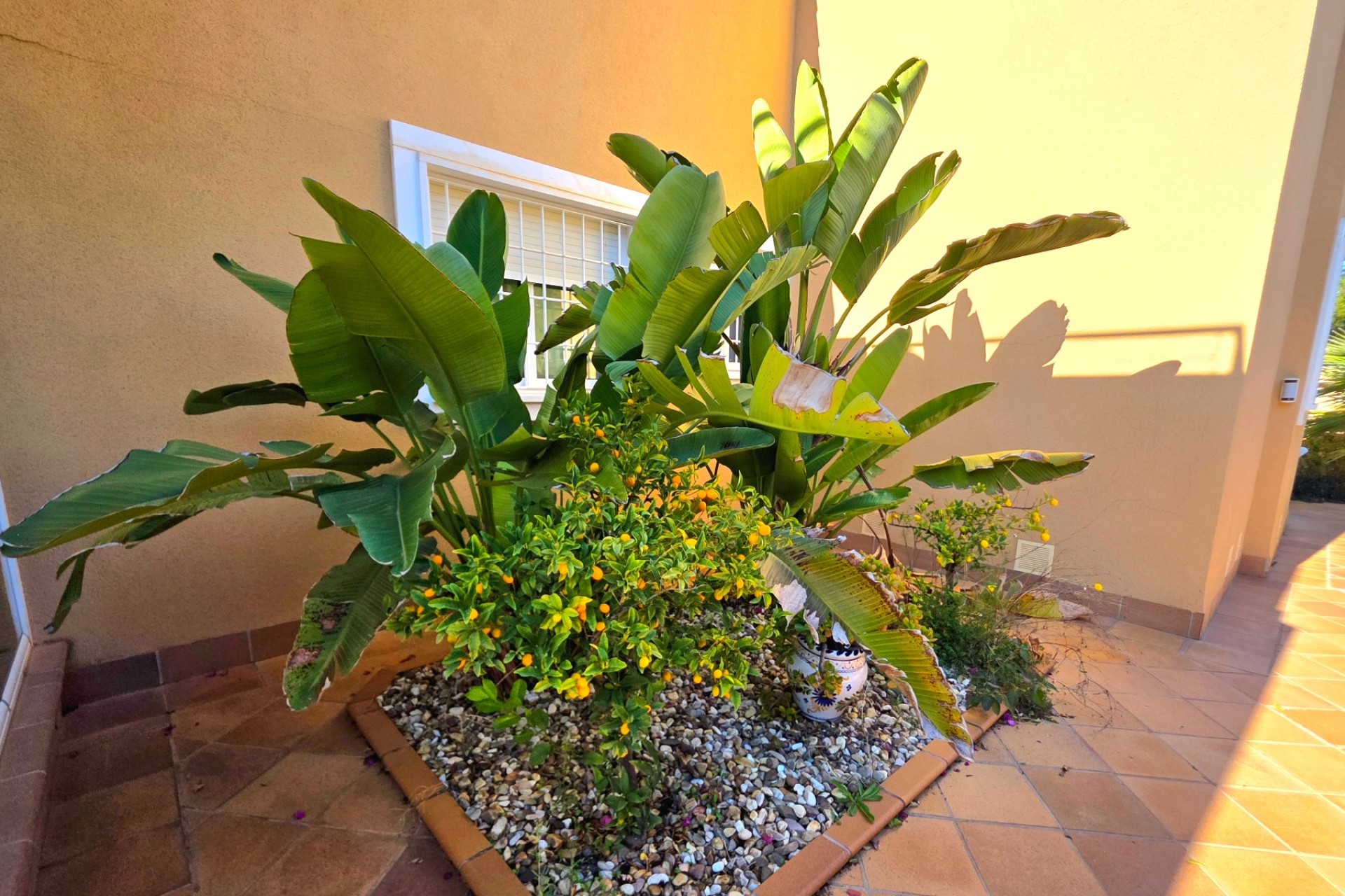 Herverkoop - Villa - Torrevieja - Cabo Cervera