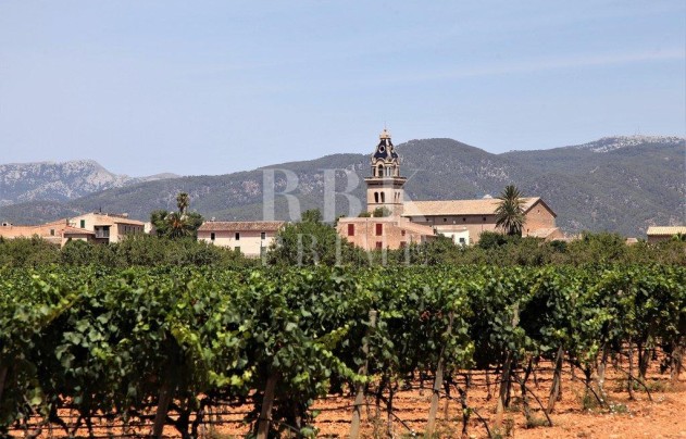 Investment building - Resale - Santa Maria - Santa Maria del Camí