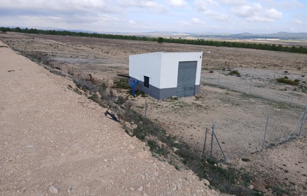 Land - Resale - Yecla - Yecla