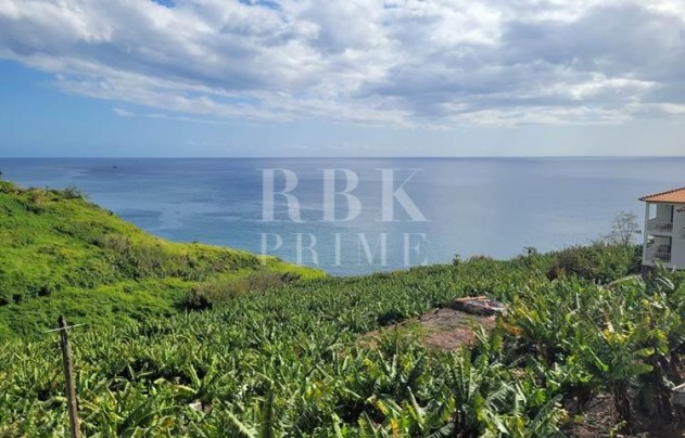 Land - Revente - Madeira - Madeira