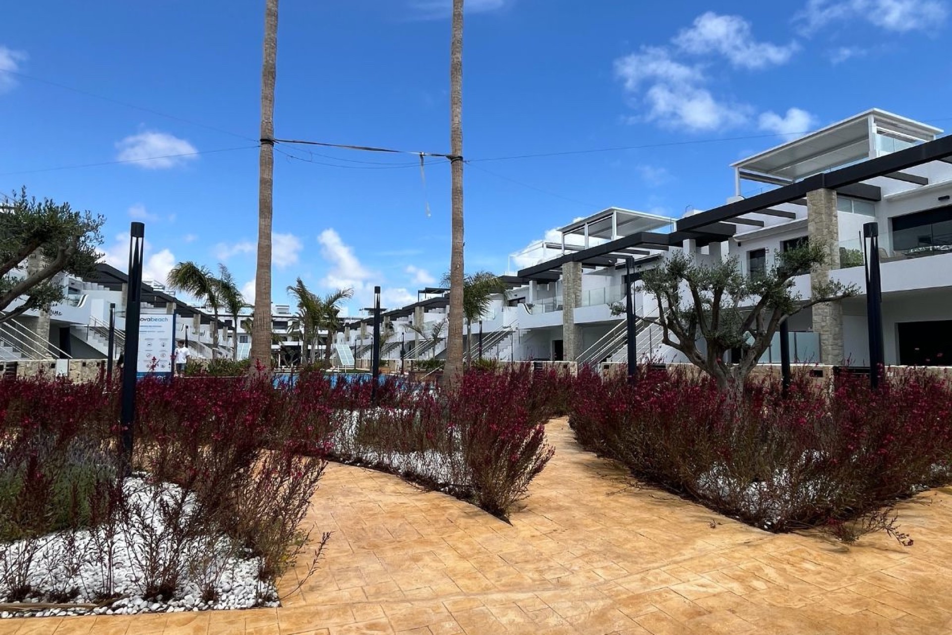 New Build - Apartment - Orihuela Costa - Punta Prima