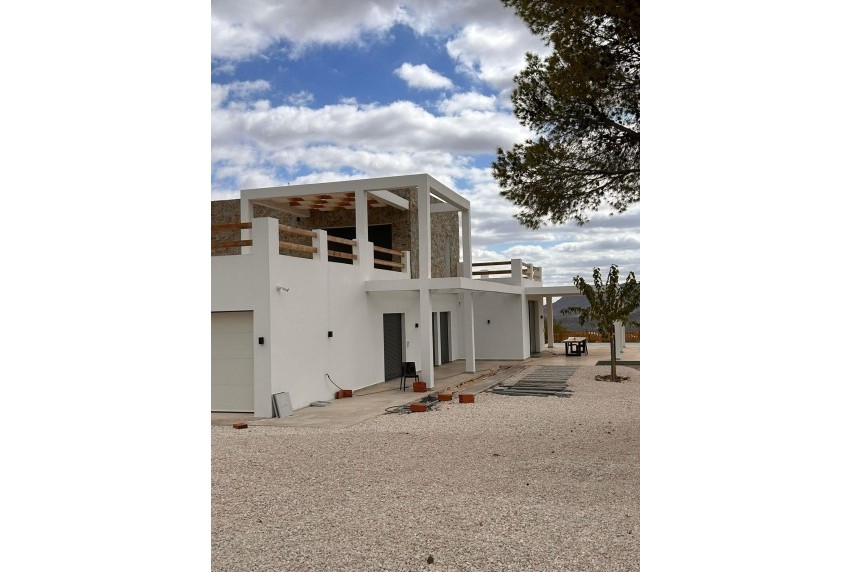 New Build - Villa - Pinoso - Casas Pastor