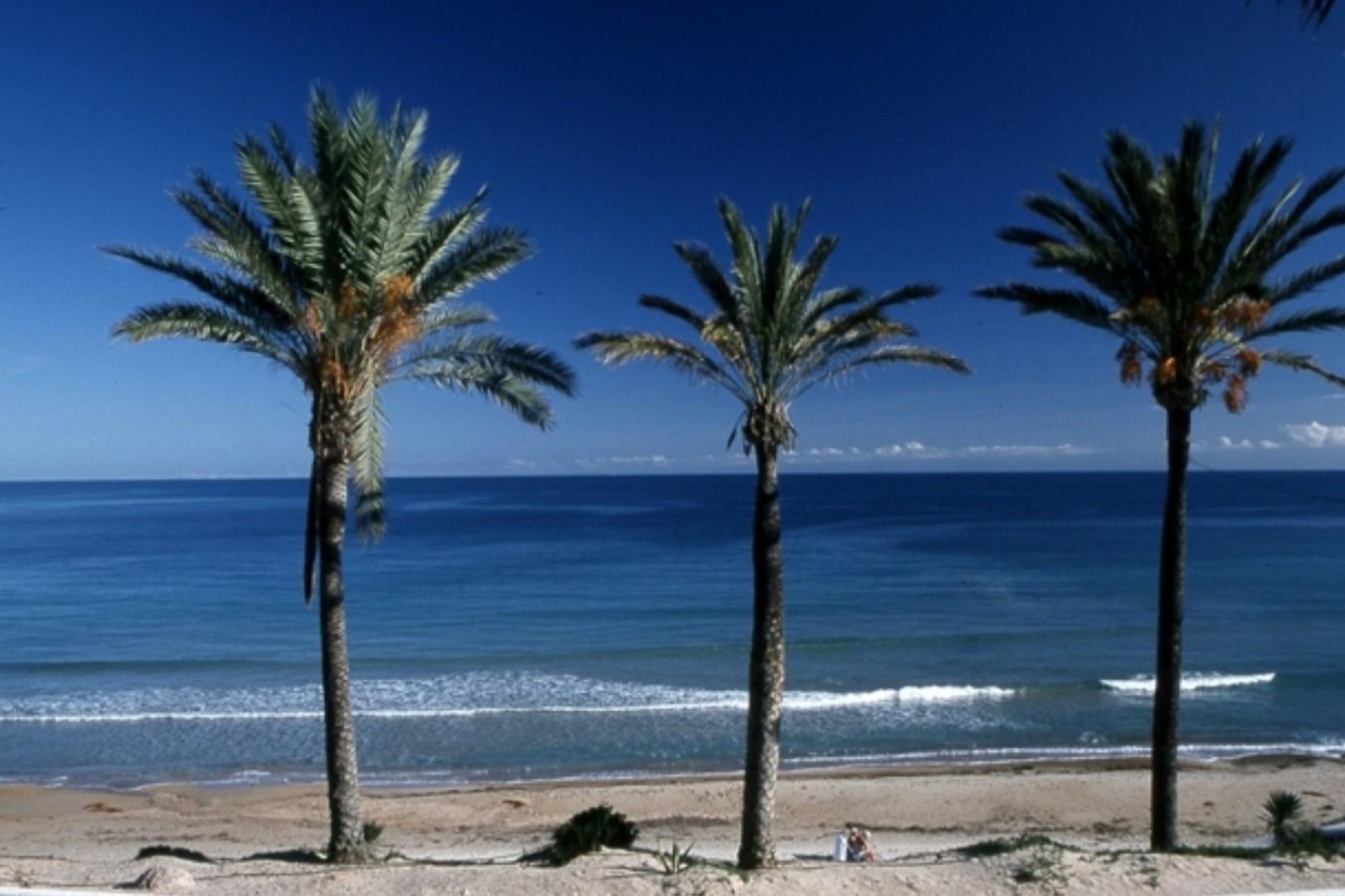 Nieuwbouw Woningen - Apartment - Pilar de la Horadada - Parque Ramon eugenio Escudero