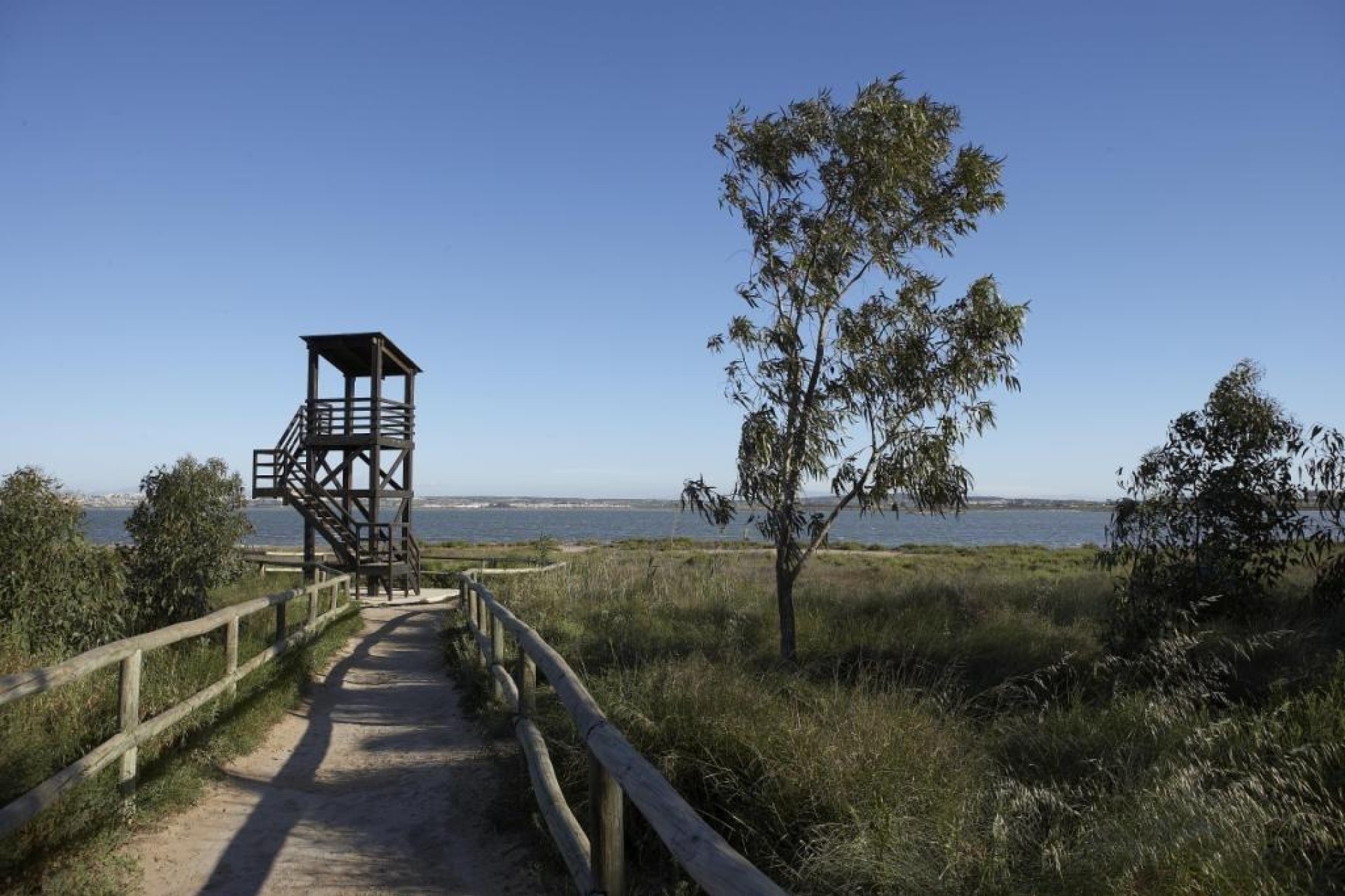 Nieuwbouw Woningen - Apartment - San Miguel de las Salinas - Pueblo