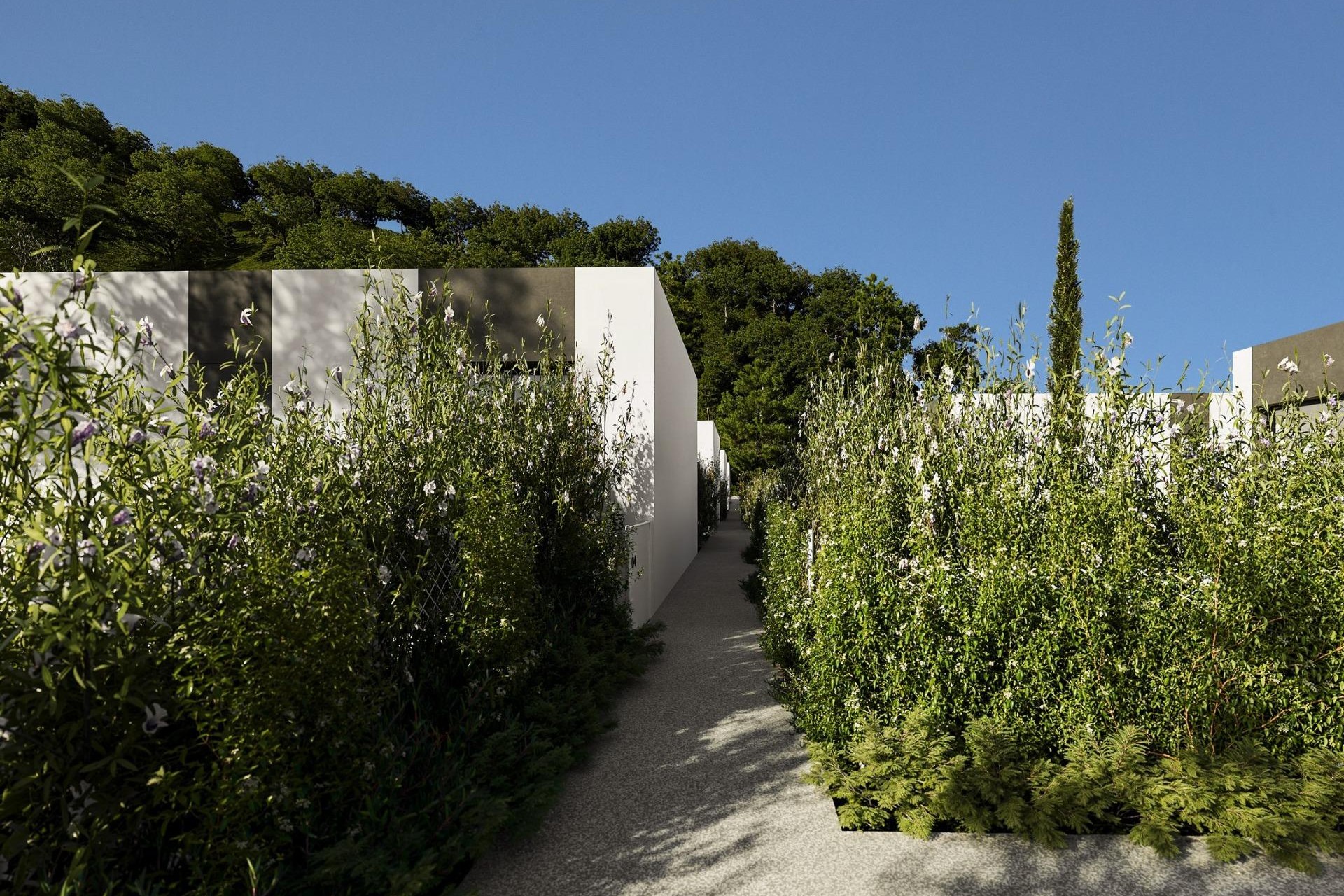 Nieuwbouw Woningen - Villa - Alfas del Pí - Barranc Fondo