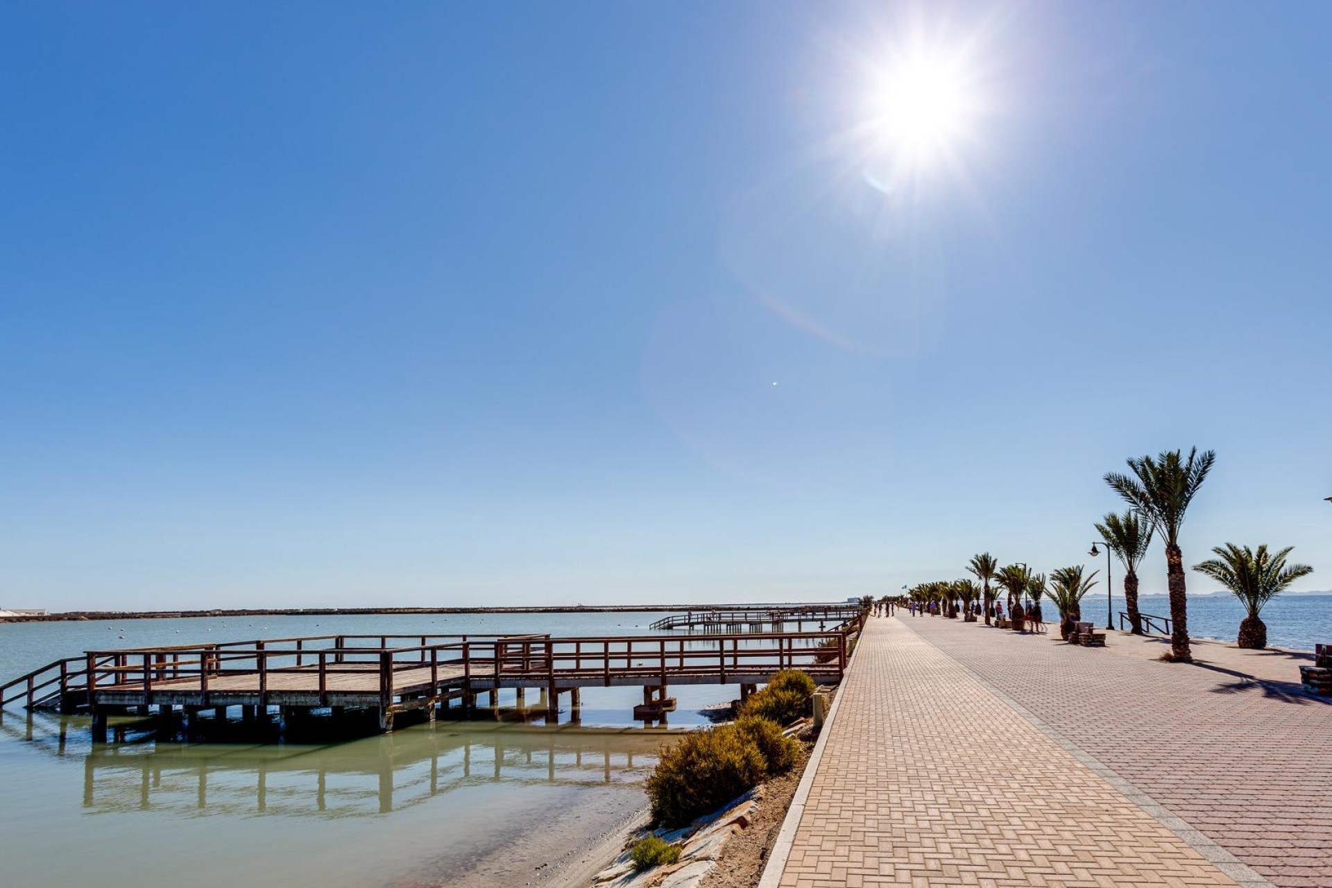 Nieuwbouw Woningen - Villa - Pilar de la Horadada