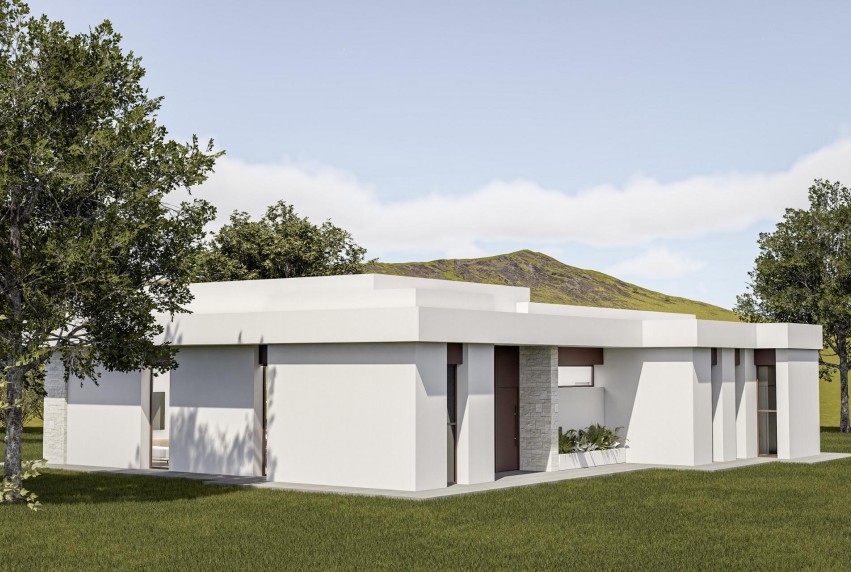 Nieuwbouw Woningen - Villa - Pinoso - Lel