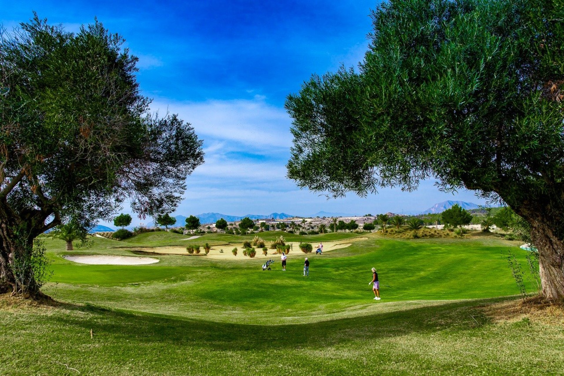 Nouvelle construction - Apartment - Orihuela - Vistabella Golf
