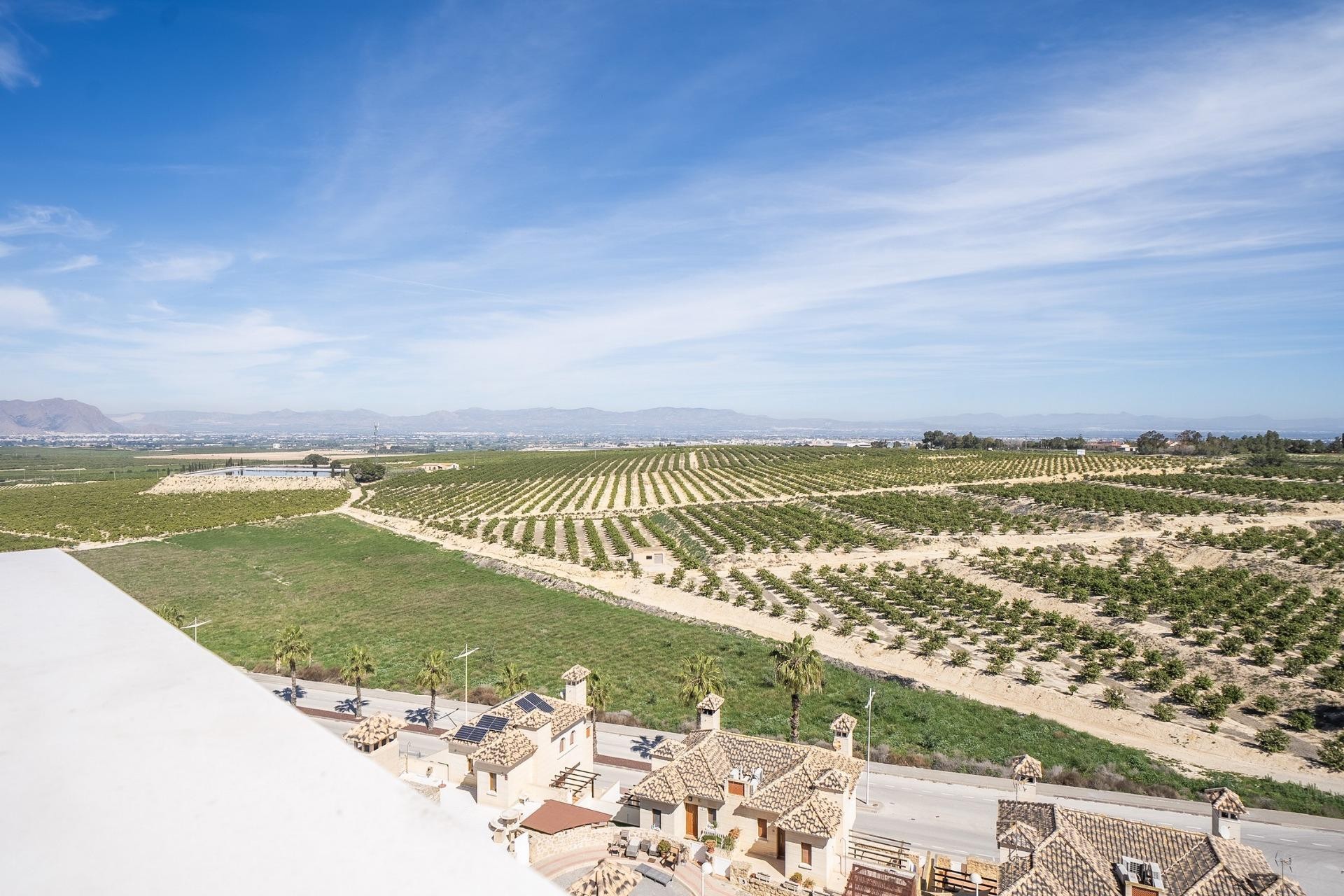 Nouvelle construction - Villa - Algorfa - La Finca Golf