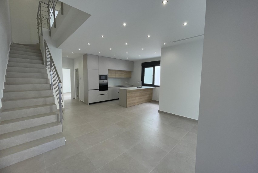 Nouvelle construction - Villa - Almoradí - Heredades