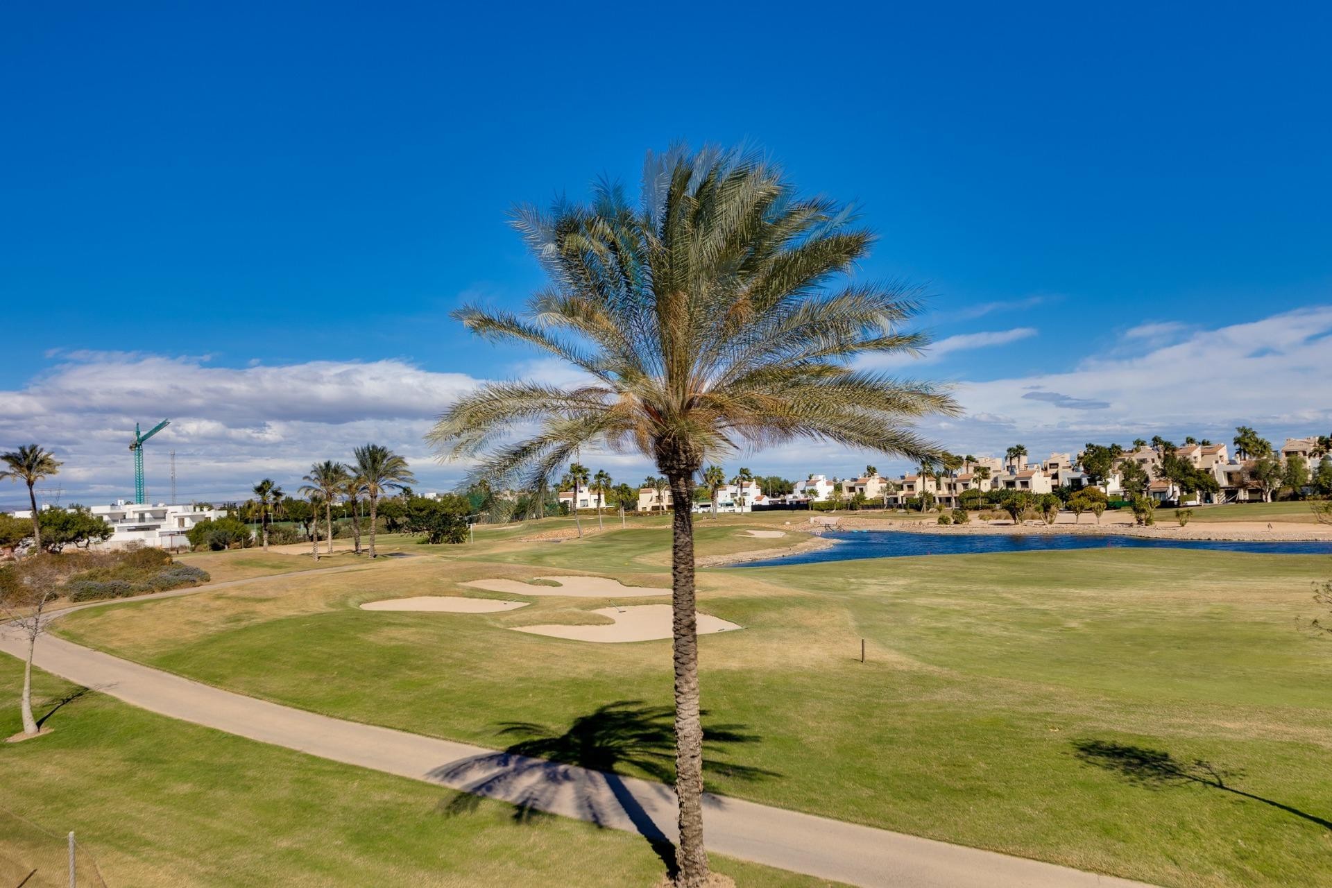 Nouvelle construction - Villa - Pilar de la Horadada - Lo Romero Golf