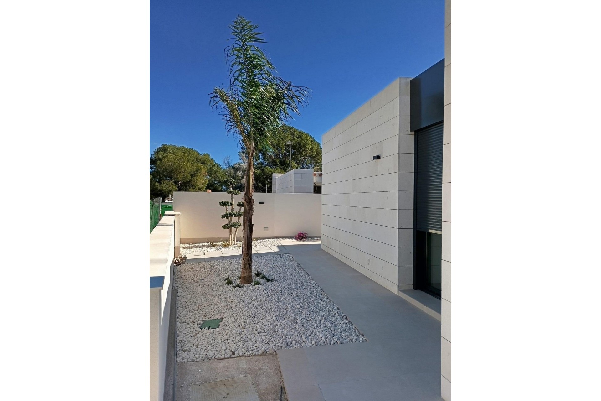 Nouvelle construction - Villa - Pilar de la Horadada - Lo Romero Golf
