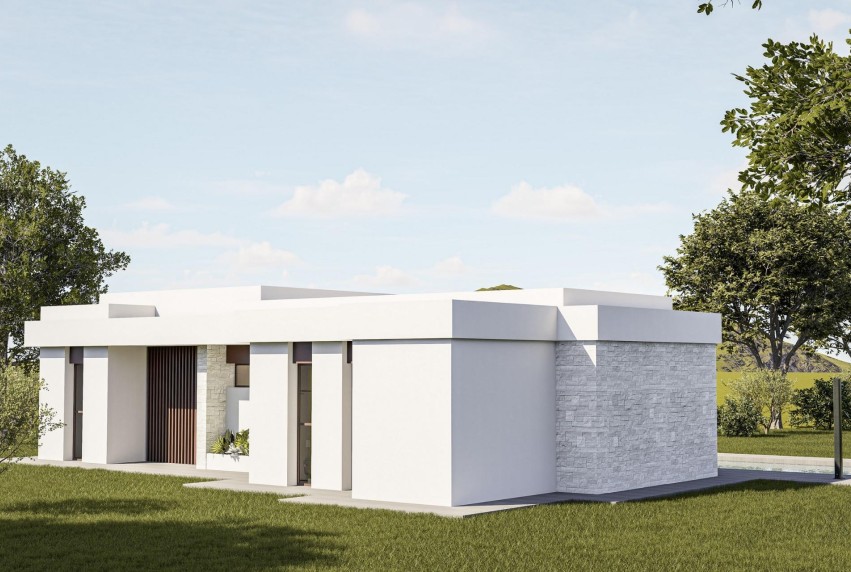 Nouvelle construction - Villa - Pinoso - Lel