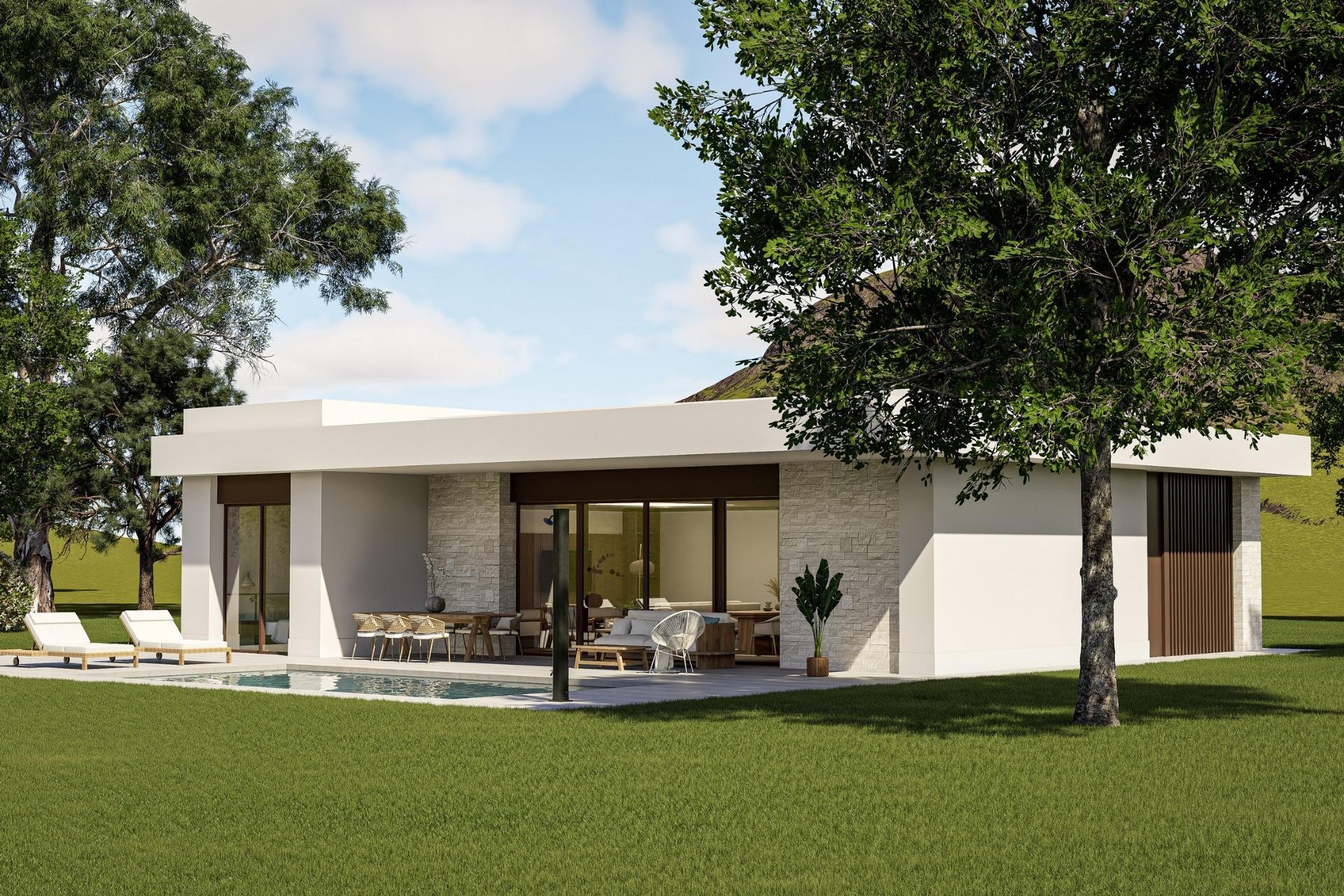 Nouvelle construction - Villa - Pinoso - Lel