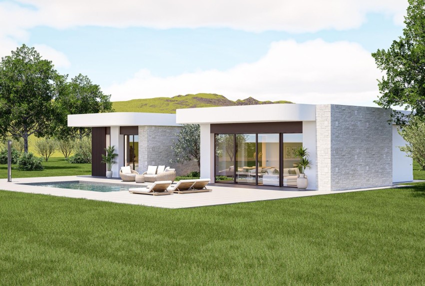 Nouvelle construction - Villa - Pinoso - Lel