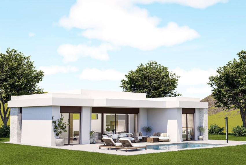 Nouvelle construction - Villa - Pinoso - Lel