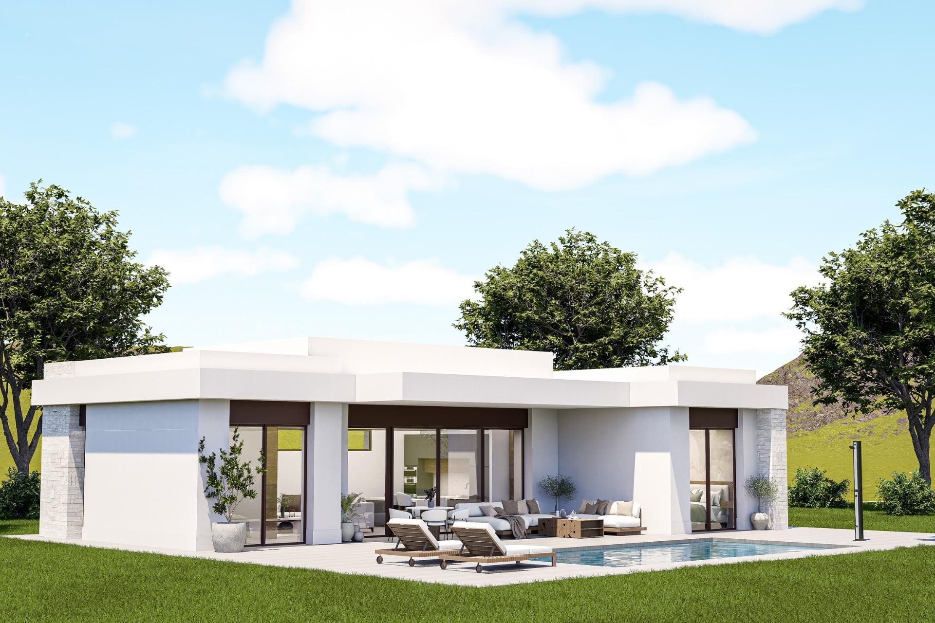 Nouvelle construction - Villa - Pinoso - Lel